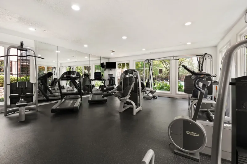 One Corner of Your Basement, One Big Decision: Elliptical, Treadmill, or Bike?